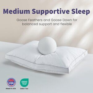 Goose Feather Down Pillow Standard Size Set of 2